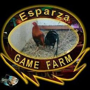 Meet your Posher, Celerino